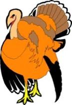 TURKY